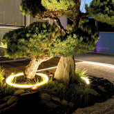 Lampada ad anello per illuminazione di alberi da giardino