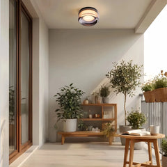Plafoniera da esterno in vetro rotonda per veranda dal design moderno