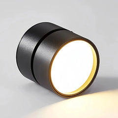 Faretto a soffitto cilindrico LED dimmerabile orientabile a 360° dal design minimal