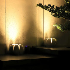Lampada da giardino a forma di sasso a LED dal design moderno ispirato ai petali