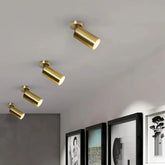 Faretti cilindrici orientabili LED dimmerabili in ottone satinato per ingresso moderno