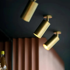 Faretti cilindrici orientabili LED dimmerabili in ottone satinato per ingresso moderno