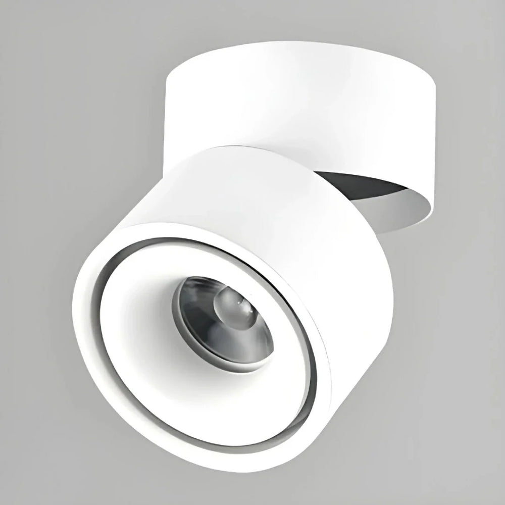 Faretto a soffitto orientabile a superficie LED moderno in metallo per quadri