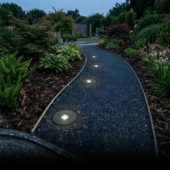 Segnapasso solare calpestabile a LED a disco da incasso nero da giardino