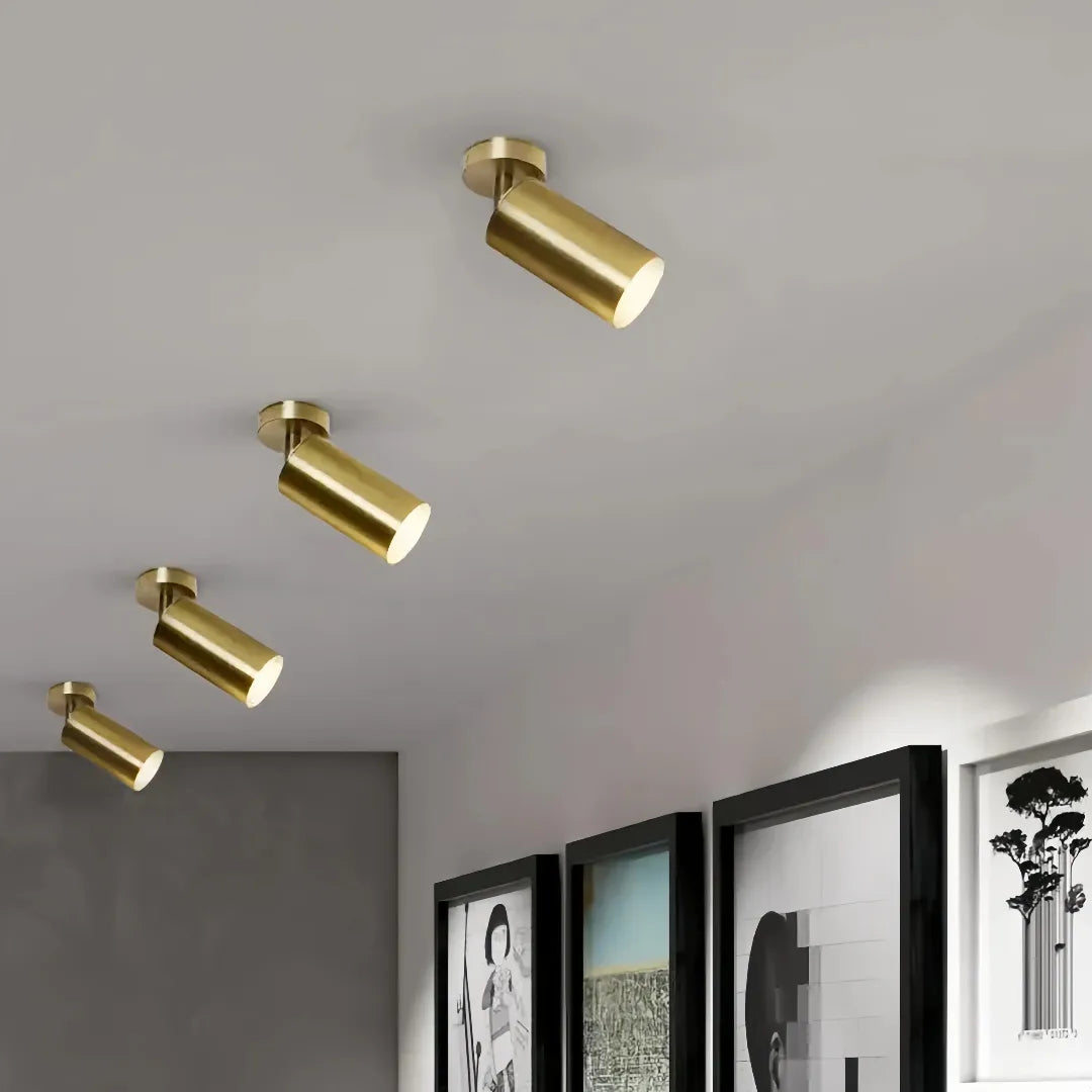Faretti cilindrici orientabili LED dimmerabili in ottone satinato per ingresso moderno