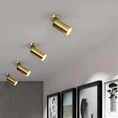 Faretti cilindrici orientabili LED dimmerabili in ottone satinato per ingresso moderno