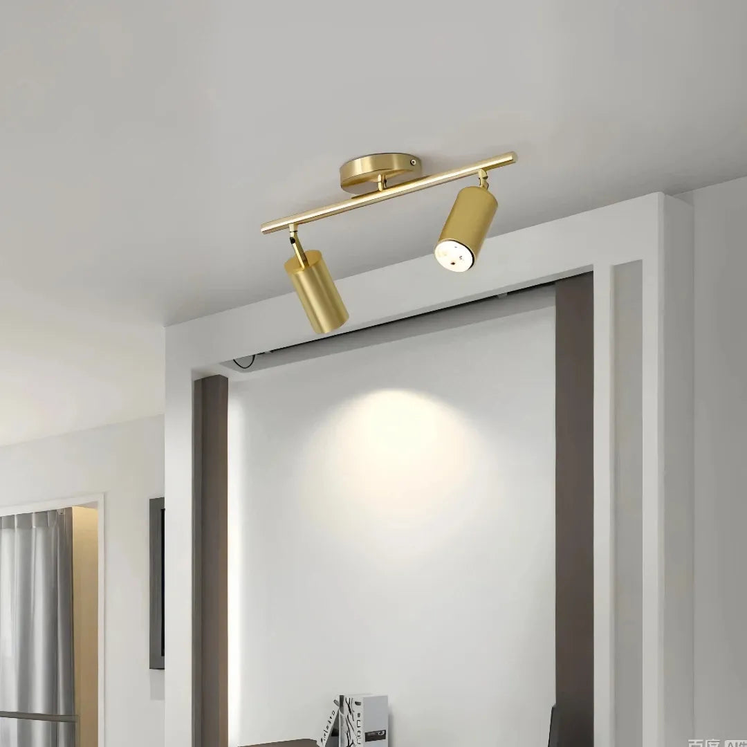 Faretti cilindrici orientabili LED dimmerabili in ottone satinato per ingresso moderno