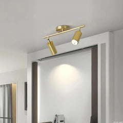 Faretti cilindrici orientabili LED dimmerabili in ottone satinato per ingresso moderno