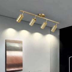 Faretti cilindrici orientabili LED dimmerabili in ottone satinato per ingresso moderno