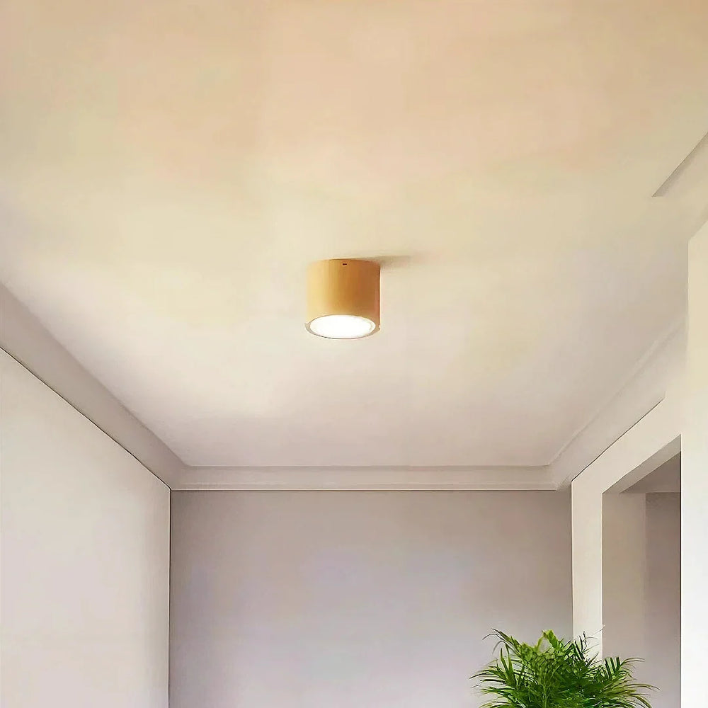 Faretto cilindrico a soffitto LED dimmerabile in legno stile nordico per corridoio