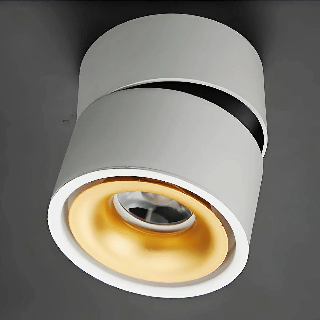 Faretto a soffitto orientabile a superficie LED moderno in metallo per quadri