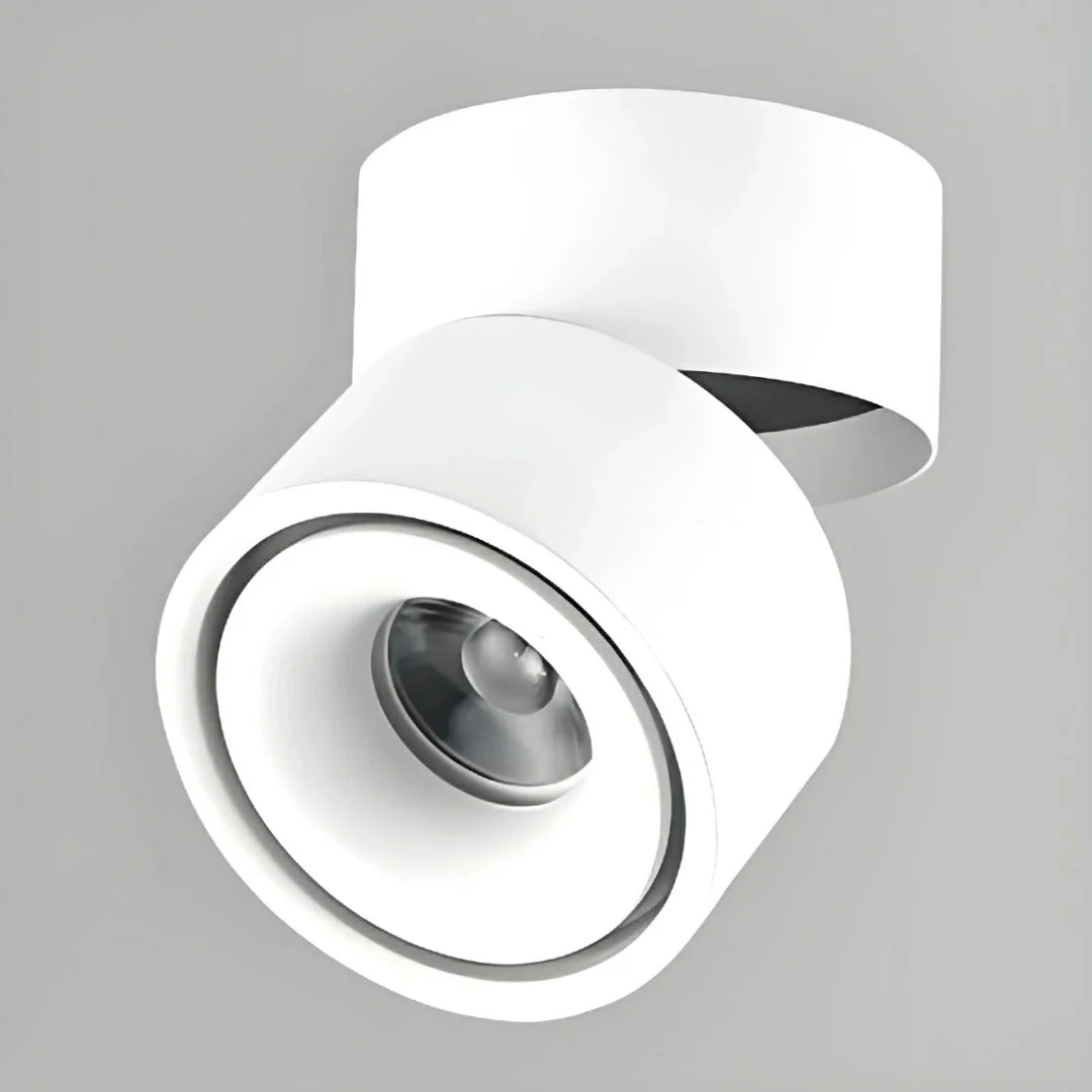 Faretto a soffitto orientabile a superficie LED moderno in metallo per quadri