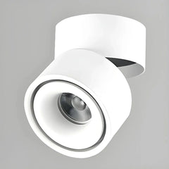 Faretto a soffitto orientabile a superficie LED moderno in metallo per quadri