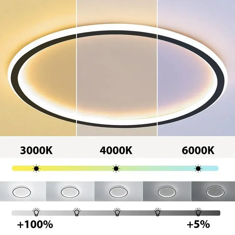 Plafoniera LED rotonda dimmerabile da soffitto stile moderno per camera da letto